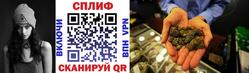 Магазины продажи наркотиков Новопавловск A PVP  Мефедрон  МАРИХУАНА  ОМГ ОМГ как войти  COCAIN  АМФ 