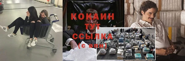 герыч Пересвет