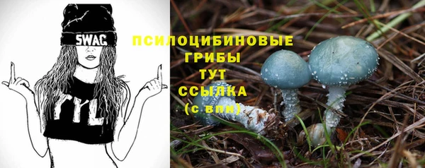 герыч Пересвет