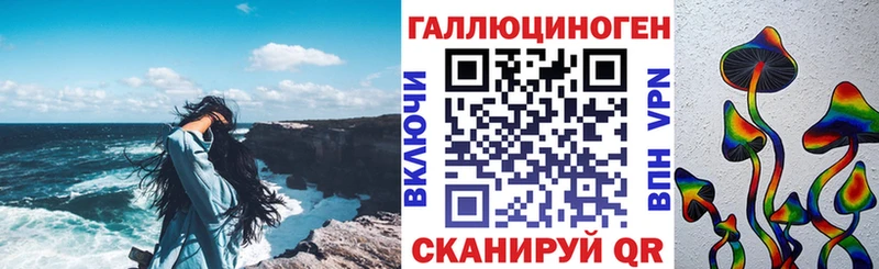 Псилоцибиновые грибы Psilocybine cubensis  Новопавловск 