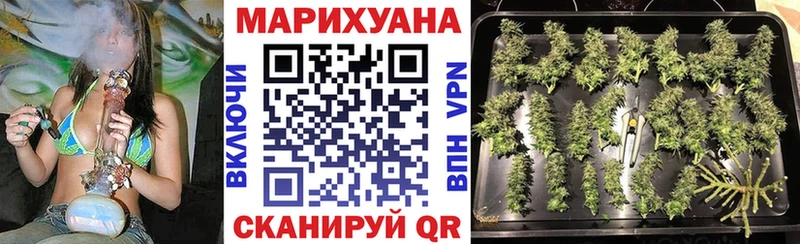закладки  Новопавловск  Конопля VHQ 